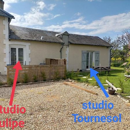 Studio " Tournesol " Au Coeur Du Berry Les Bordes Exterior foto